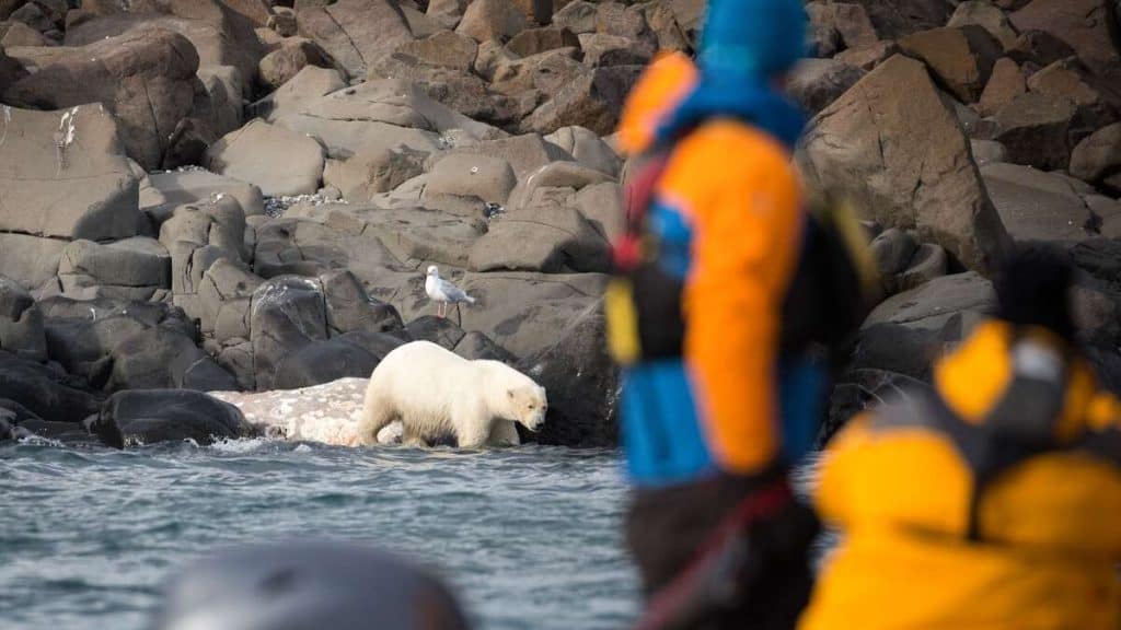 Quark Expeditions.