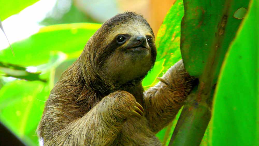 Costa Rica. Costa Rica.