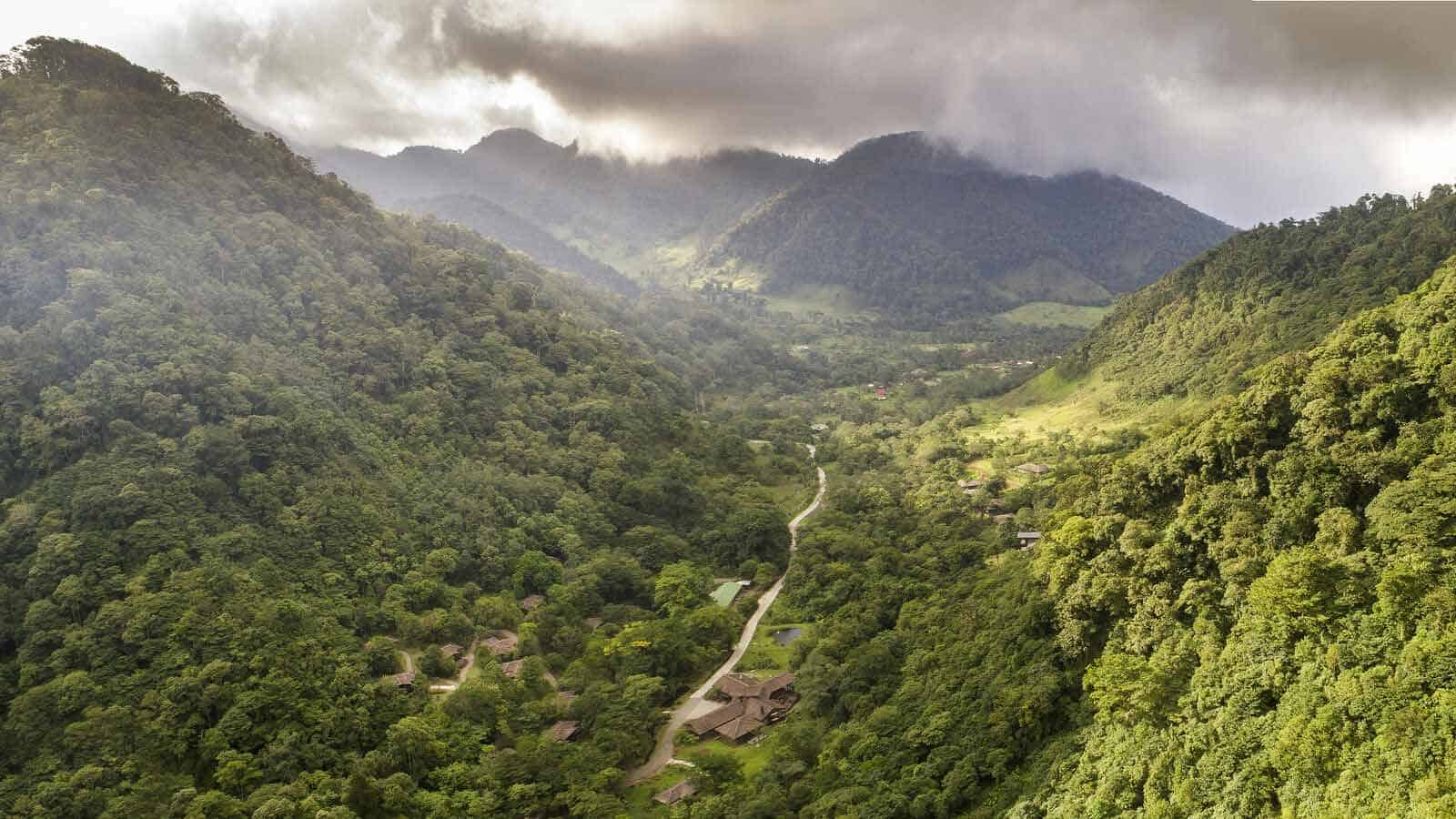 Tåkeskog i Costa Rica. Tåkeskog i Costa Rica.