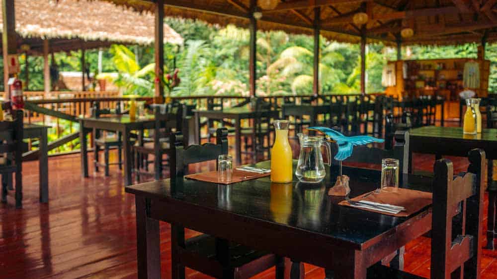Tambopata Research Center Lodge, Peru. Tambopata Research Center Lodge, Peru.