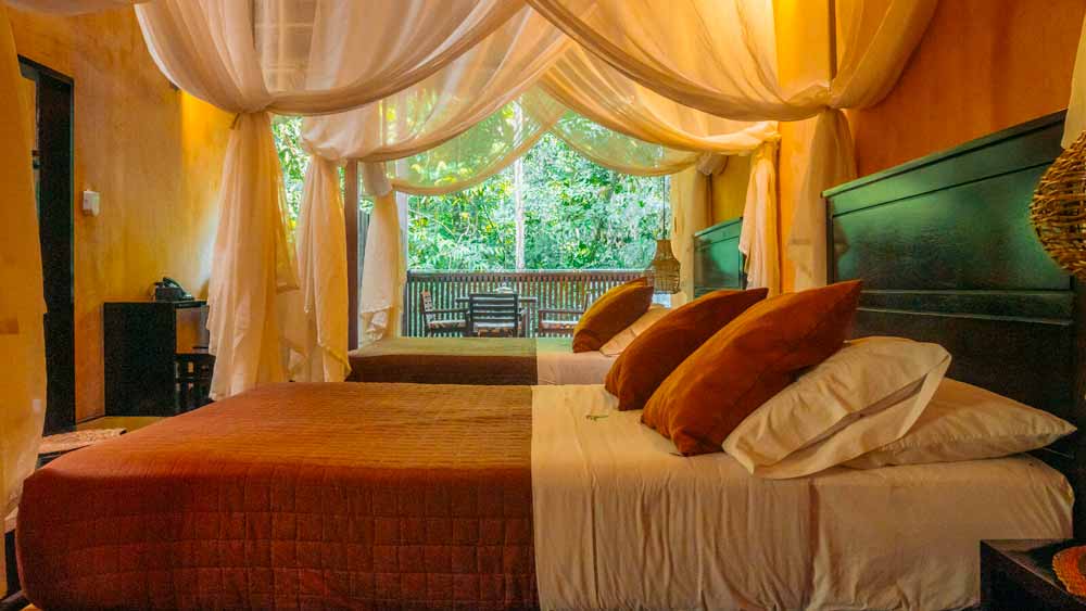 Tambopata Research Center Lodge, Peru. Tambopata Research Center Lodge, Peru.