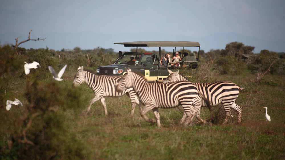 Elewana Tortilis Camp Amboseli.
