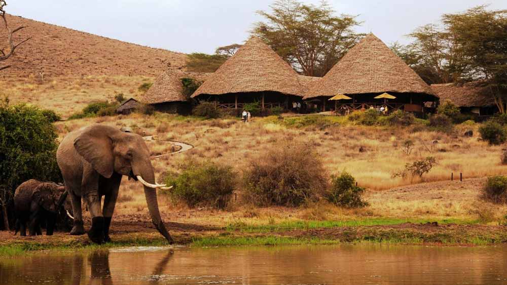 Elewana Tortilis Camp Amboseli.
