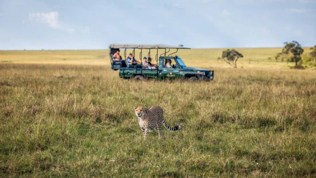 Elewana Elephant Pepper Camp