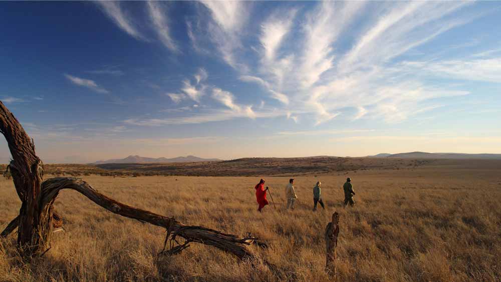 Elewana Lewa Safari Camp