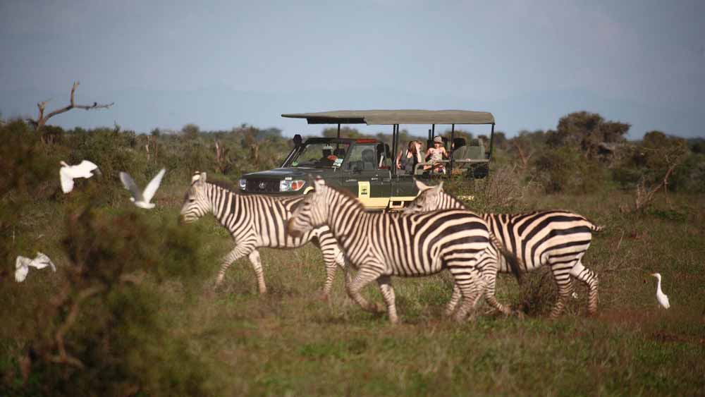 Elewana Tortilis Camp Amboseli