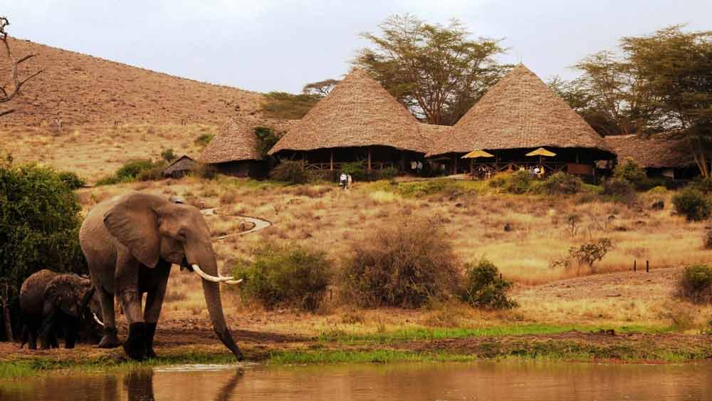 Elewana Tortilis Camp Amboseli