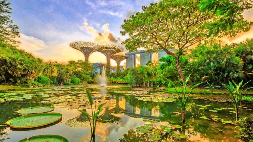 Gardens by the Bay i Singapore.
