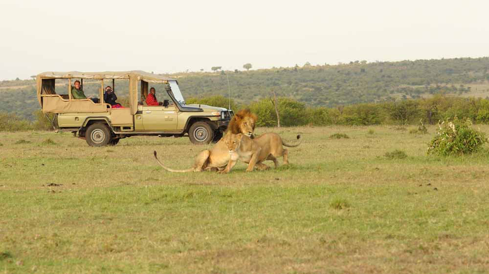 Basecamp Masai Mara