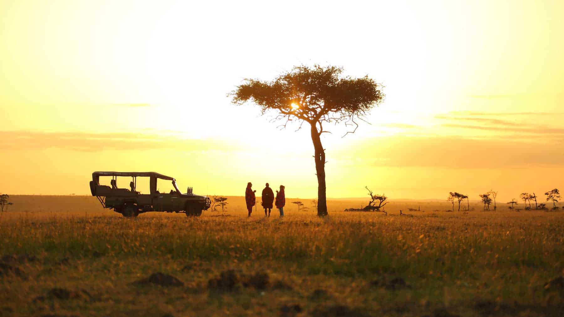 Basecamp safari og Zanzibar
