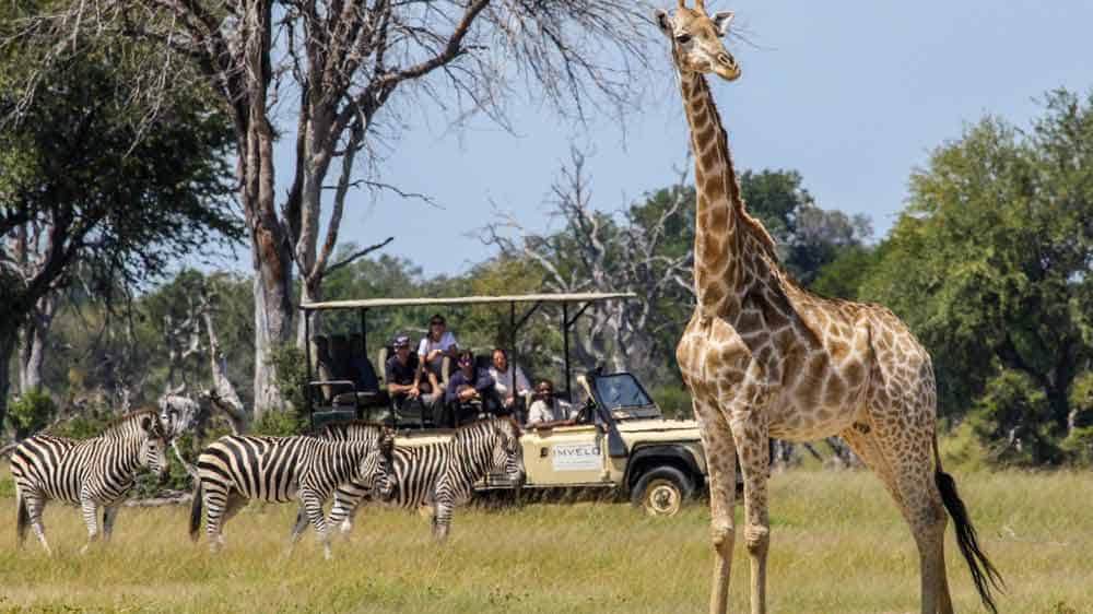 Bomani Tented Lodge.