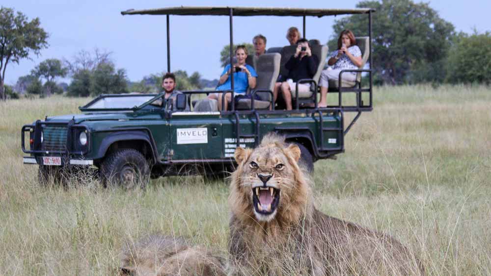 Bomani Tented Lodge.