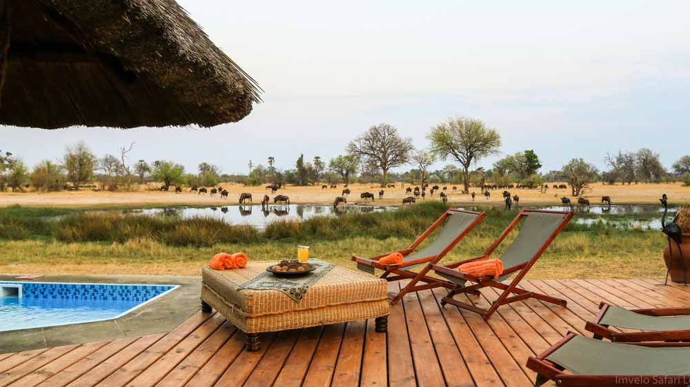 Bomani Tented Lodge.