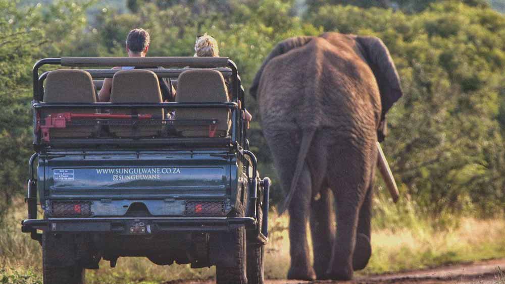 Sungulwane Private Game Lodge. Sungulwane Private Game Lodge.