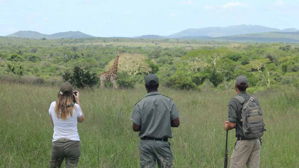 Sungulwane Private Game Lodge. Sungulwane Private Game Lodge.