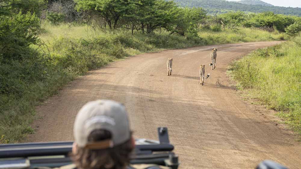 Sungulwane Private Game Lodge. Sungulwane Private Game Lodge.