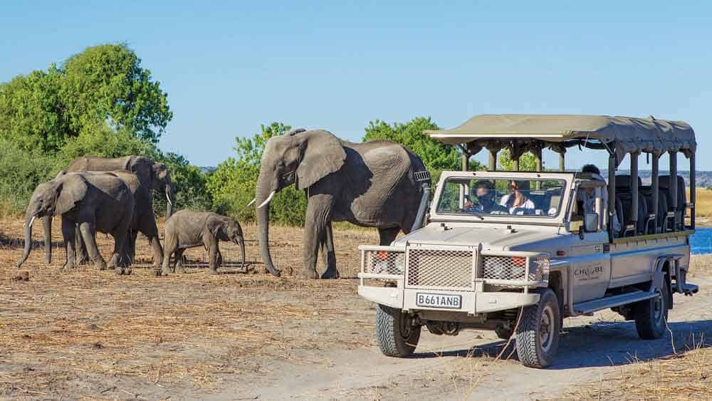Chobe Game Lodge