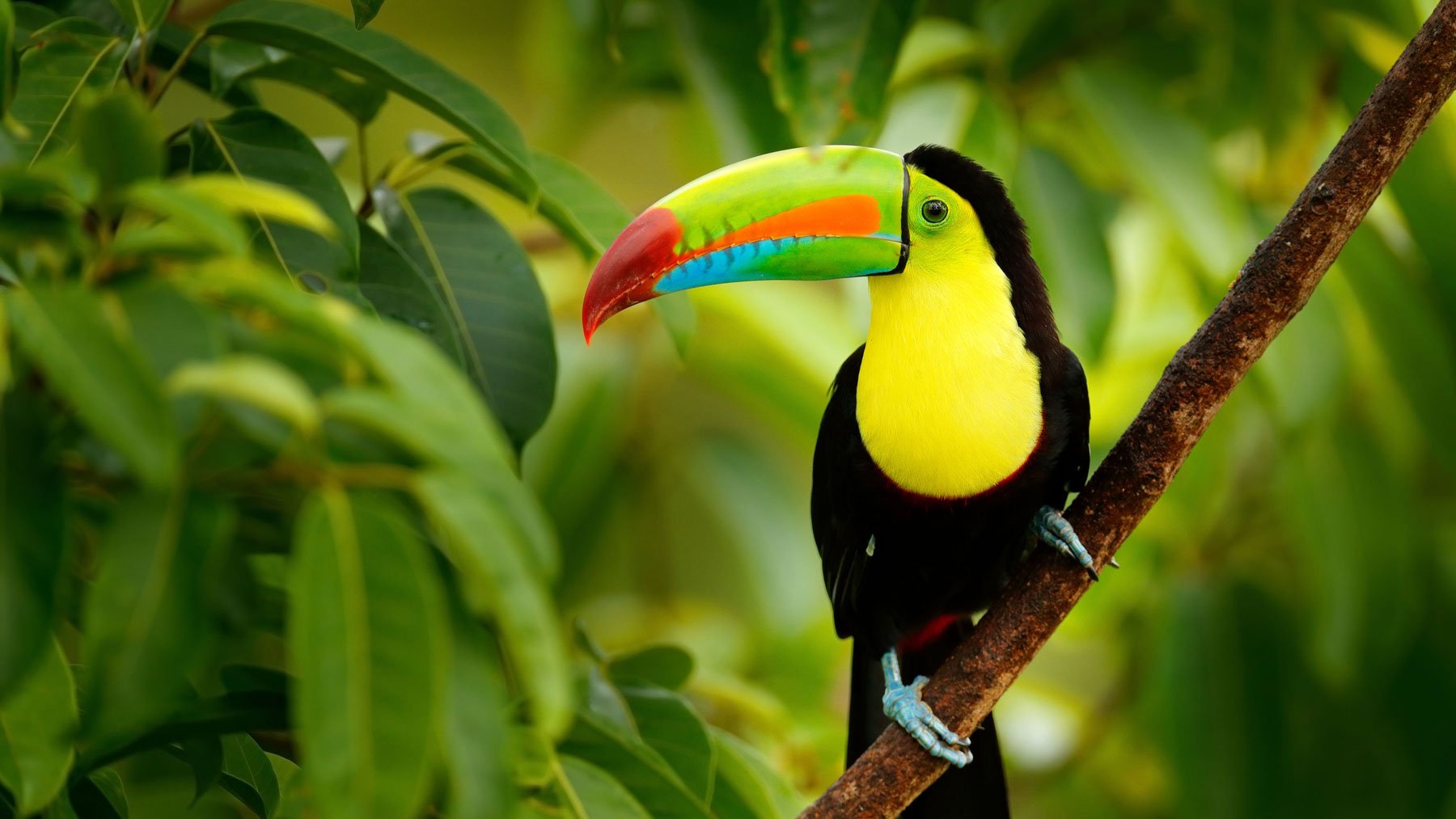 Costa Rica.