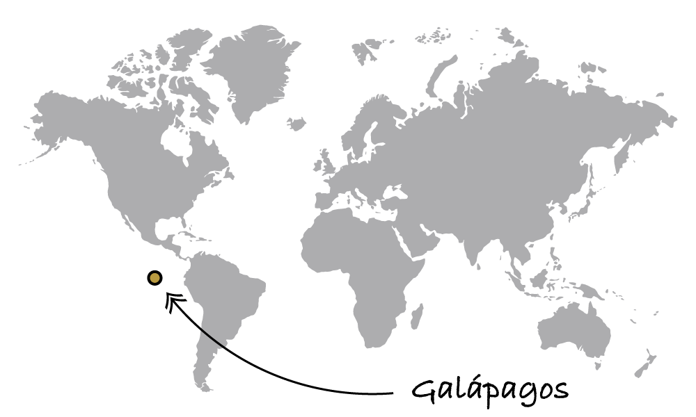 Galápagos Galápagos