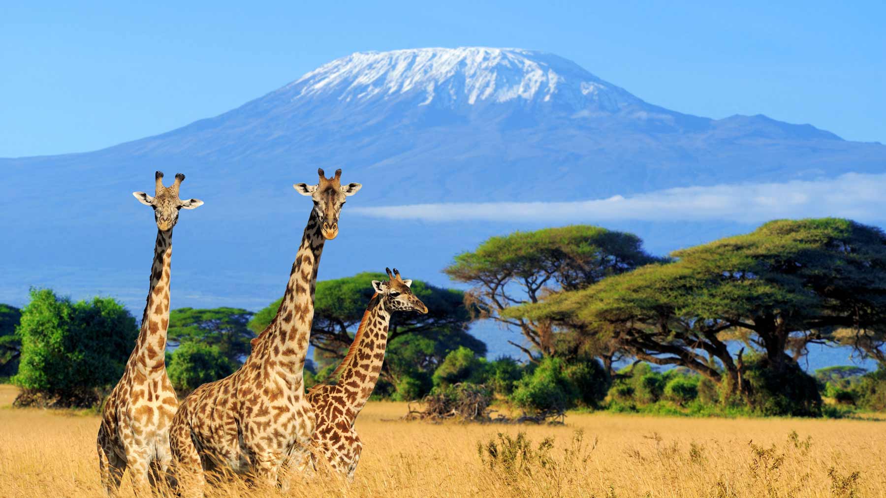 Kenya.