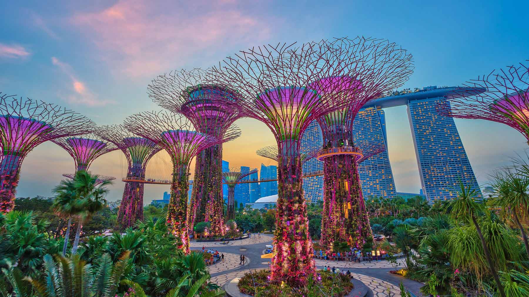Supertrær i Gardens by the Bay.