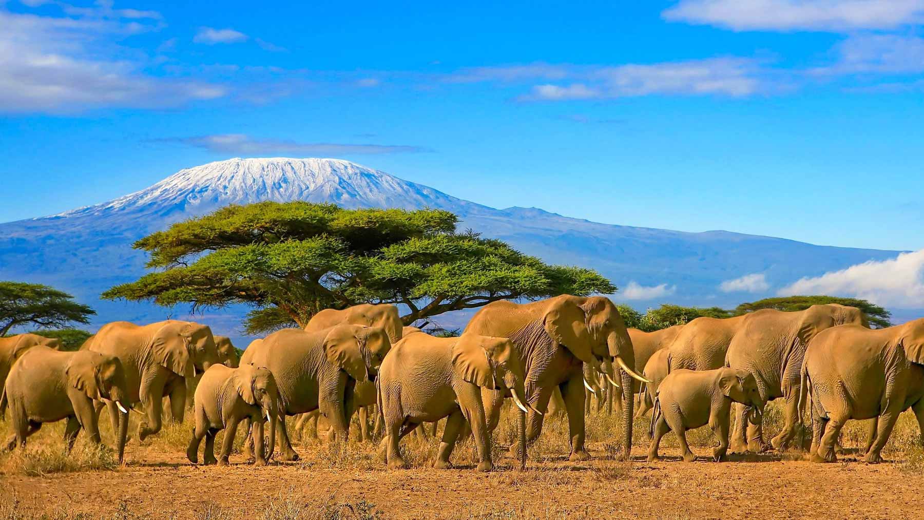 Tanzania.