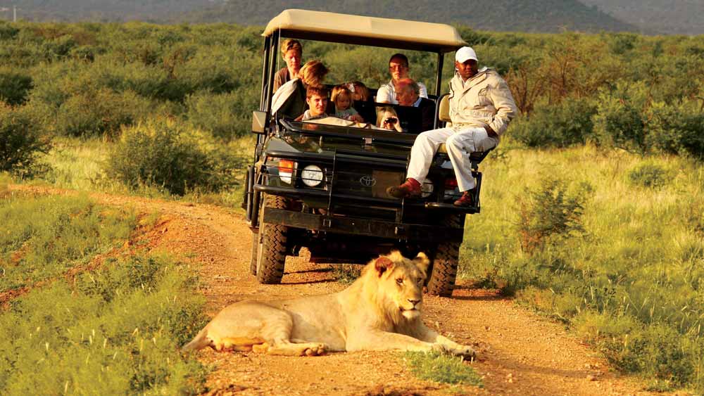 Madikwe Hills Private Game Lodge Madikwe Hills Private Game Lodge