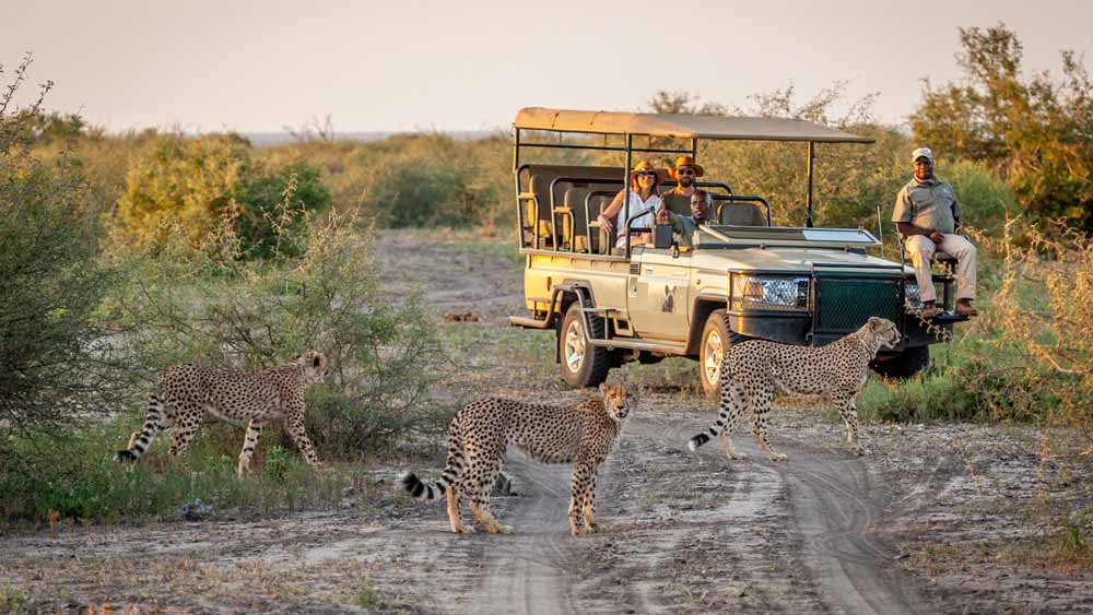 Madikwe Hills Private Game Lodge Madikwe Hills Private Game Lodge