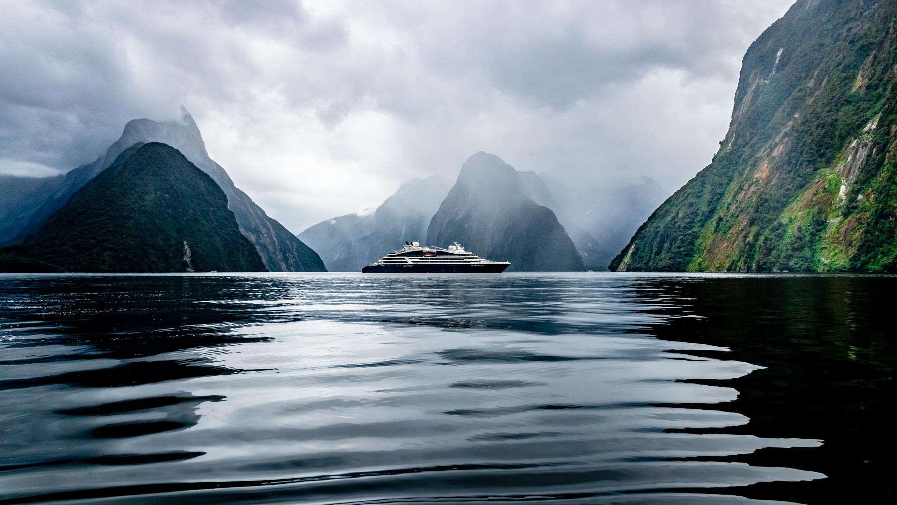 Expedition to New Zealand’s Subantarctic Islands med Ponant
