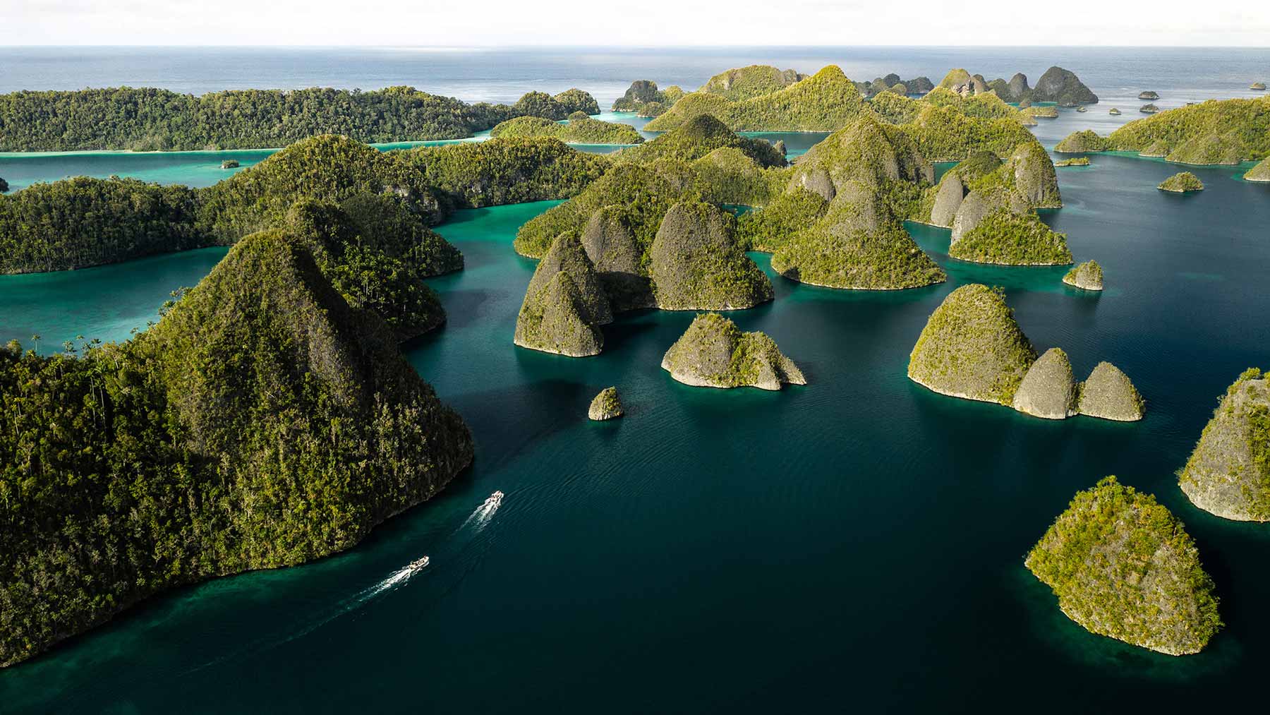 Raja Ampat Cruise med Aqua Expeditions