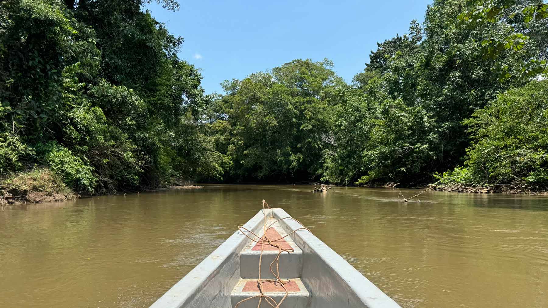 Amazonas – en reise tilbake til naturen