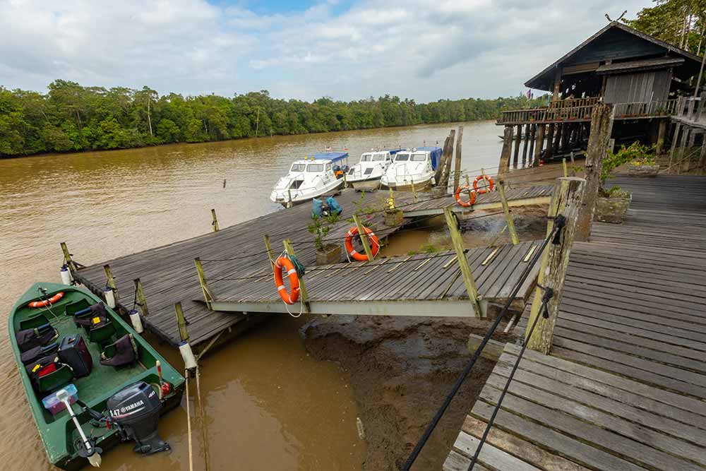 Sukau Rainforest Lodge