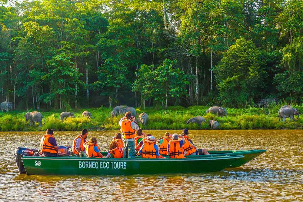 Sukau Rainforest Lodge