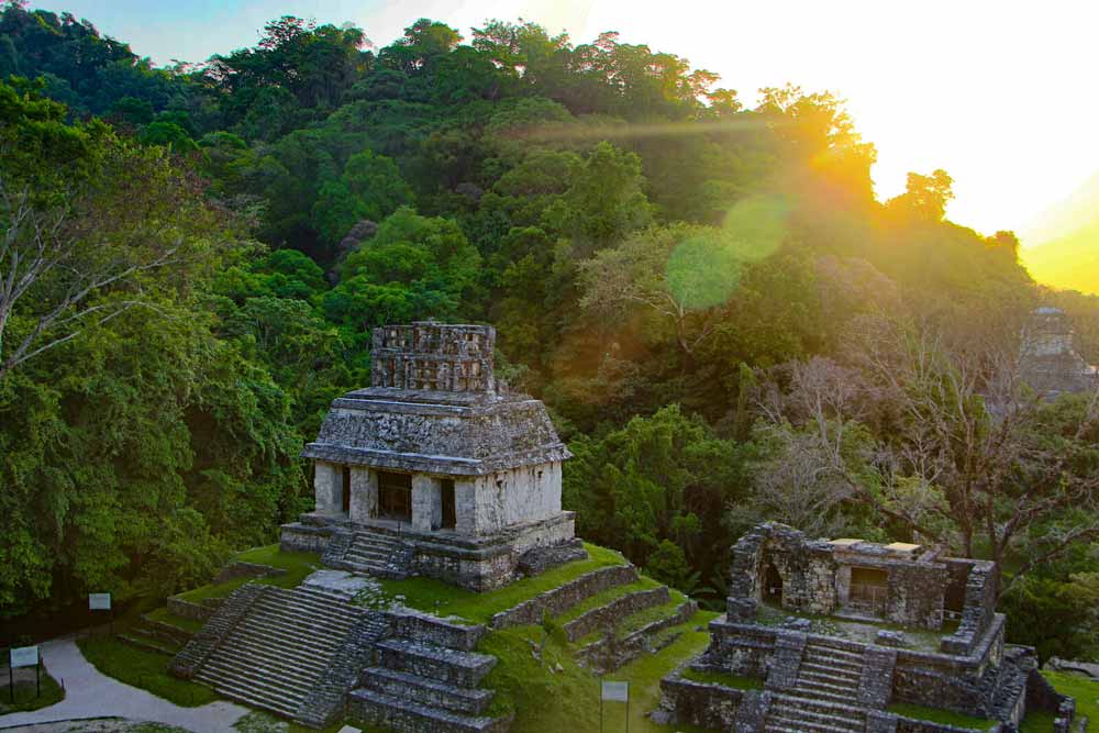 Vakker natur omgir ruinene av mayabyen i Palenque.