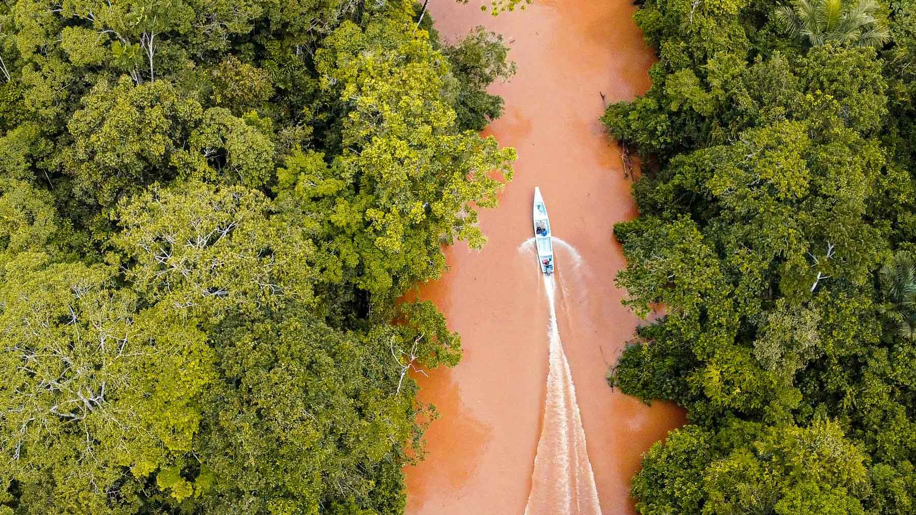 Amazonas.
