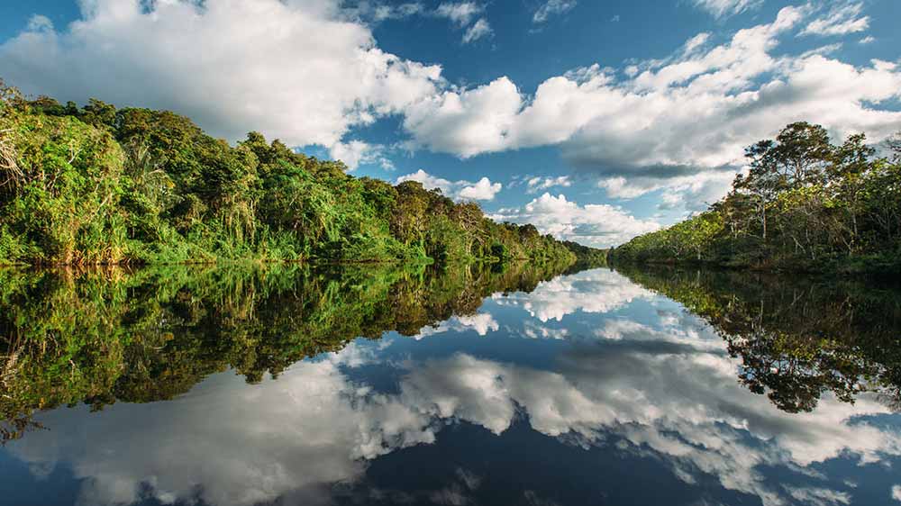 Amazonas.