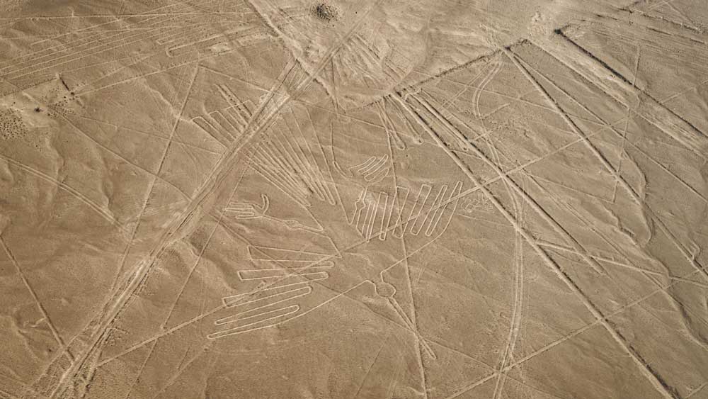 Dr. Jones Expeditions: Peru – Patagonia