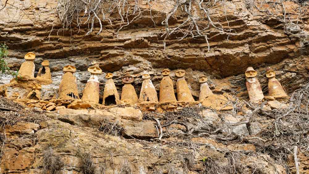 Dr. Jones Expeditions: Peru – Patagonia