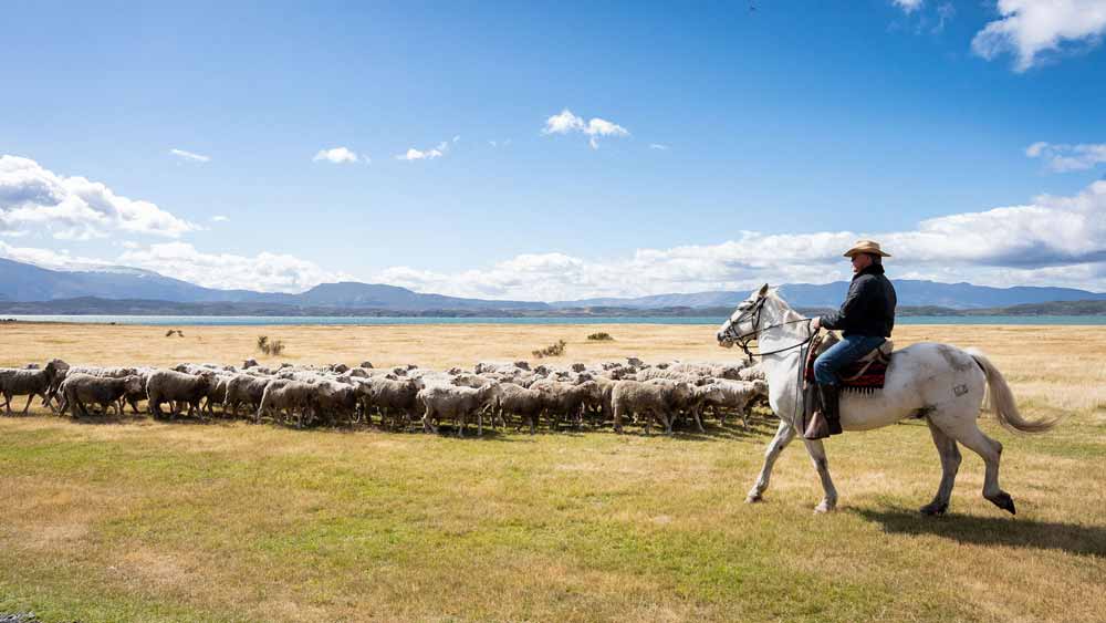 Dr. Jones Expeditions: Peru – Patagonia